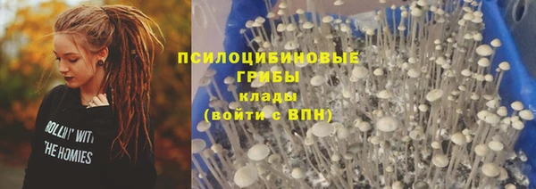 марки lsd Алексеевка